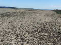 10, 500 Sqm  Building Land In Regulation Medovo  Near Sunny Beach Bulgaria.
<br>With a Pup for a 
