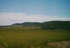 18,000 Sqm  Building Land In Regulation Medovo  Near Sunny Beach Bulgaria.
<br>With a Pup for a p