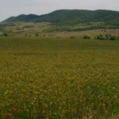 This plot of land size 11,484 sqm  is suitable for building villas, located just 10 minutes away f